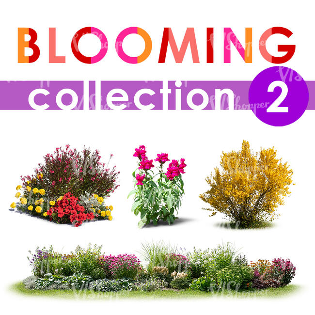 Blooming Collection 2