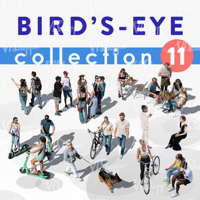 Birds Eye Collection 11