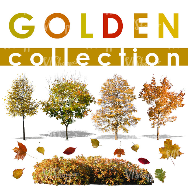 Golden Collection 1