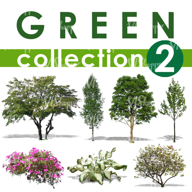 Green Collection 2