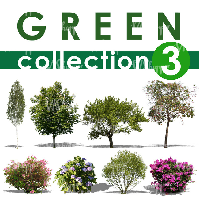 Green Collection 3