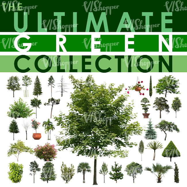 The Ultimate Green Collection