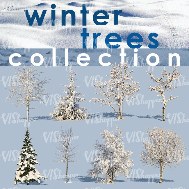Winter Trees Collection 1