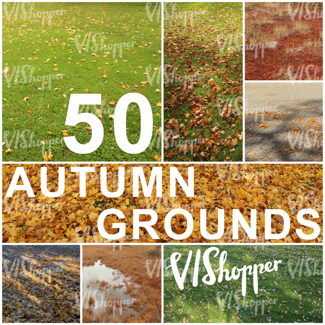 50 Autumn Grounds Collection