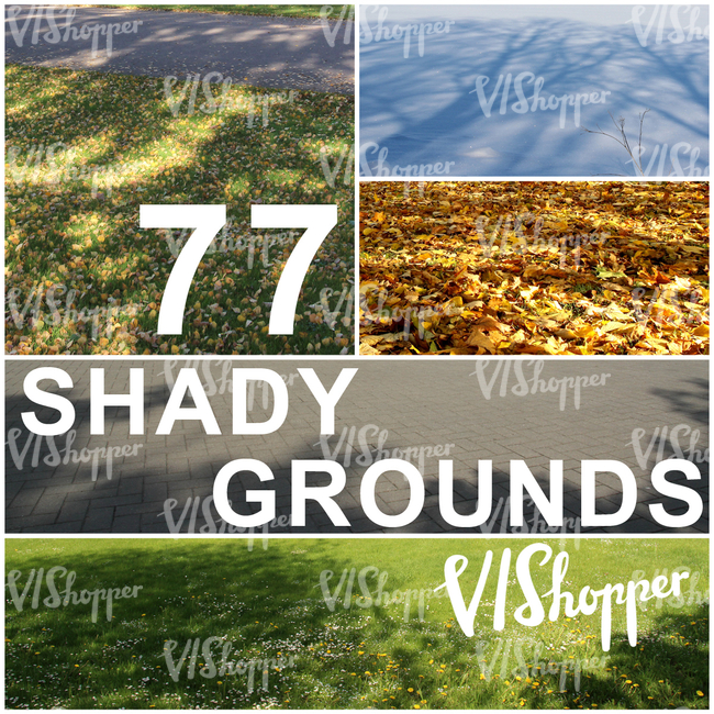 77 Shady Grounds