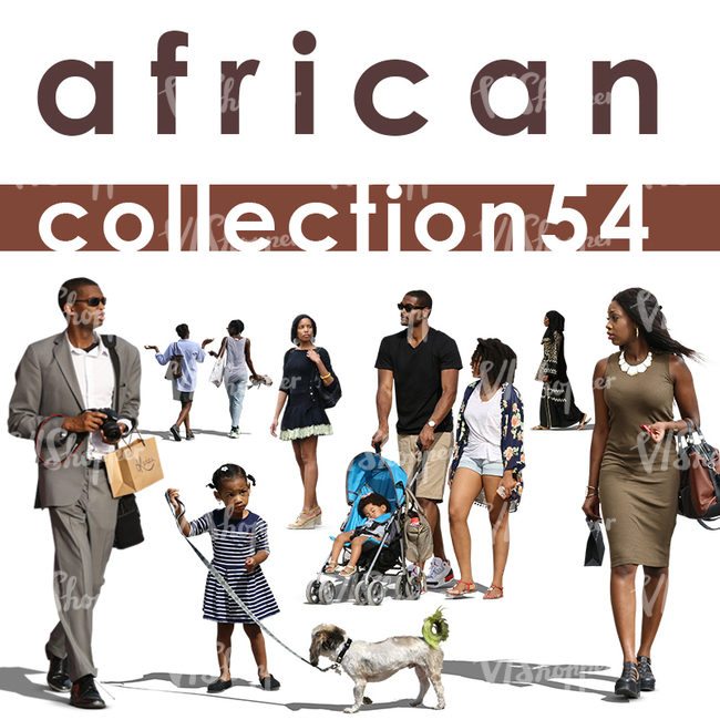 African Collection 1