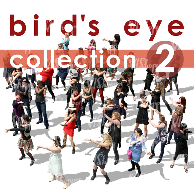 Birds Eye Collection 2
