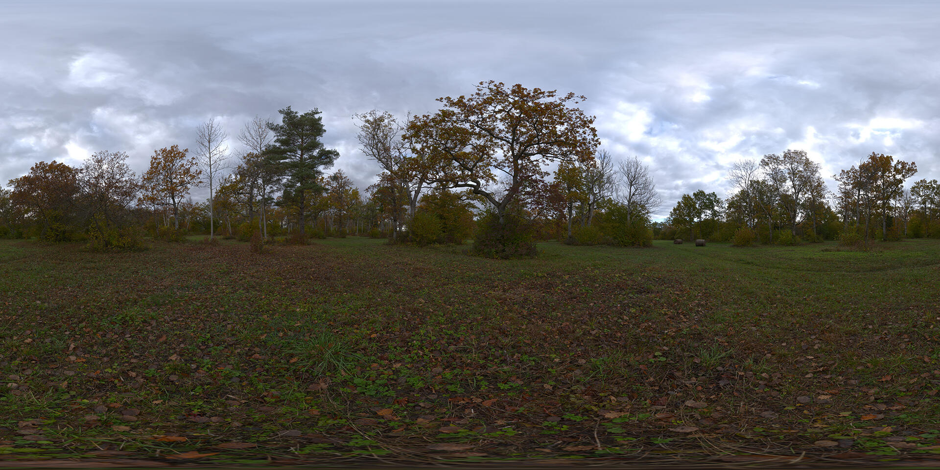 HDRI-panorama-of-a-oak-forest-in-autumn