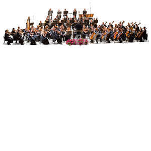 symphony orchestra performing in a concert hall