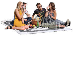 four people having a picnic