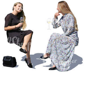 two women sittin in a cafe and drinking wine