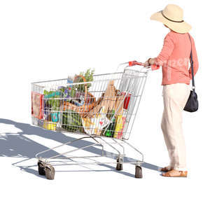 woman standing with a shopping cart