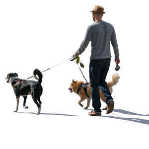 backlit man walking with two dogs