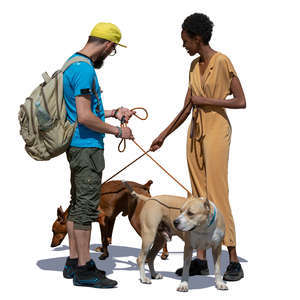 man and woman with dogs standing and talking