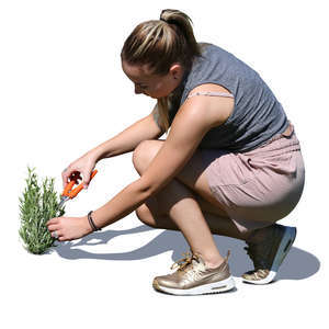 woman squatting and cutting herbs