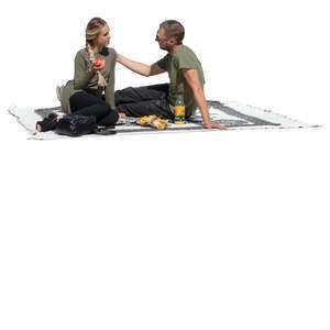 couple having a picnic