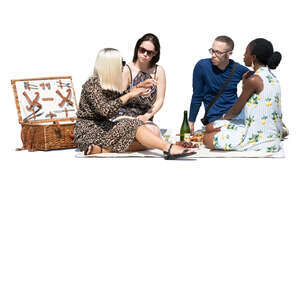 group of young people having a picnic