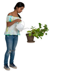 woman watering house plants
