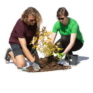 man and woman working in a garden