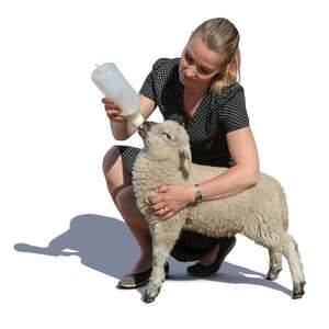 woman feeding milk to a little lamb