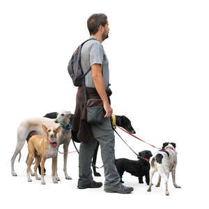 cut out man with five dogs standing