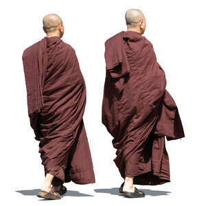 two buddha monks walking