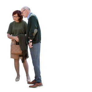 cut out elderly couple standing and looking at smth