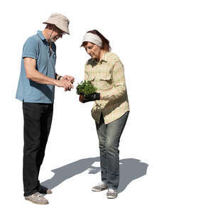 two cut out older people working with garden plants