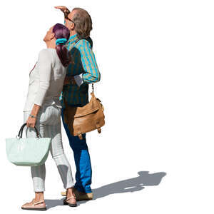 elderly couple standing and looking smth on a sunny day