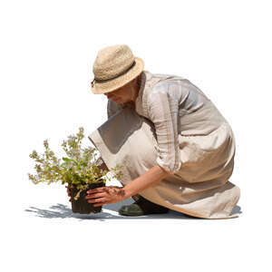 cut out woman squatting and planting flowers