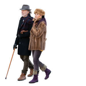 cut out elegant elderly couple in winter walking