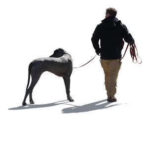 cut out backlit man walking a big dog