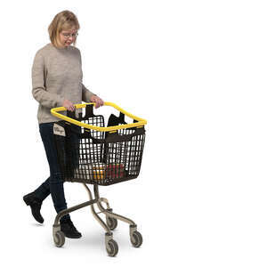 cut out woman with shopping cart buying groceries