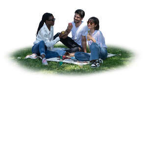 cut out group of friends having a picnic in park in tree shade
