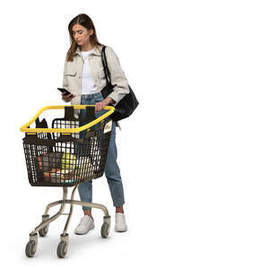 cut out woman with a shopping cart shopping groceries