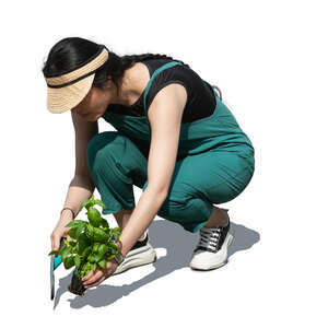 cut out asian woman planting plants in the garden