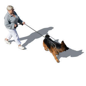 woman walking her dog seen from above