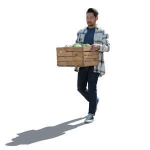 backlit asian gardener carrying a crate full of vegetables