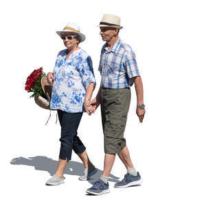 elderly couple walking hand in hand