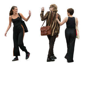 friends greeting when meeting in the street