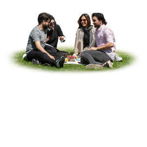 group of young people having a picnic