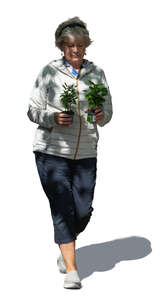 cut out senior woman with plants walking in the garden