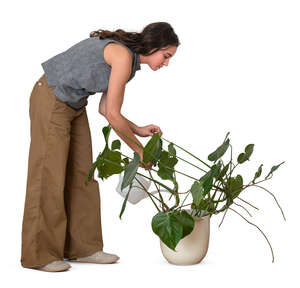 cut out woman watering houseplants