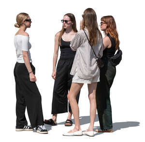 cut out group of women standing and talking