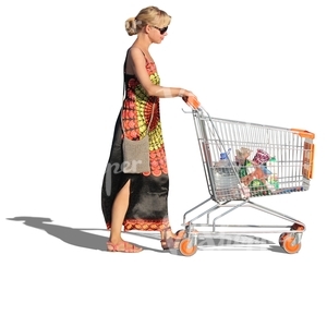 woman in a long dress pushing a shopping cart