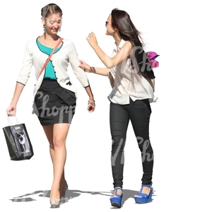 two women with shopping bags walking and talking