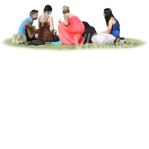 group of people having a picnic and playing guitar