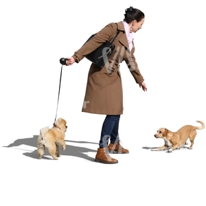 woman walking a dog meeting another dog 