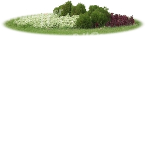 flowerbed with white flowers