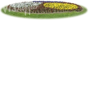 cut out round flowerbed